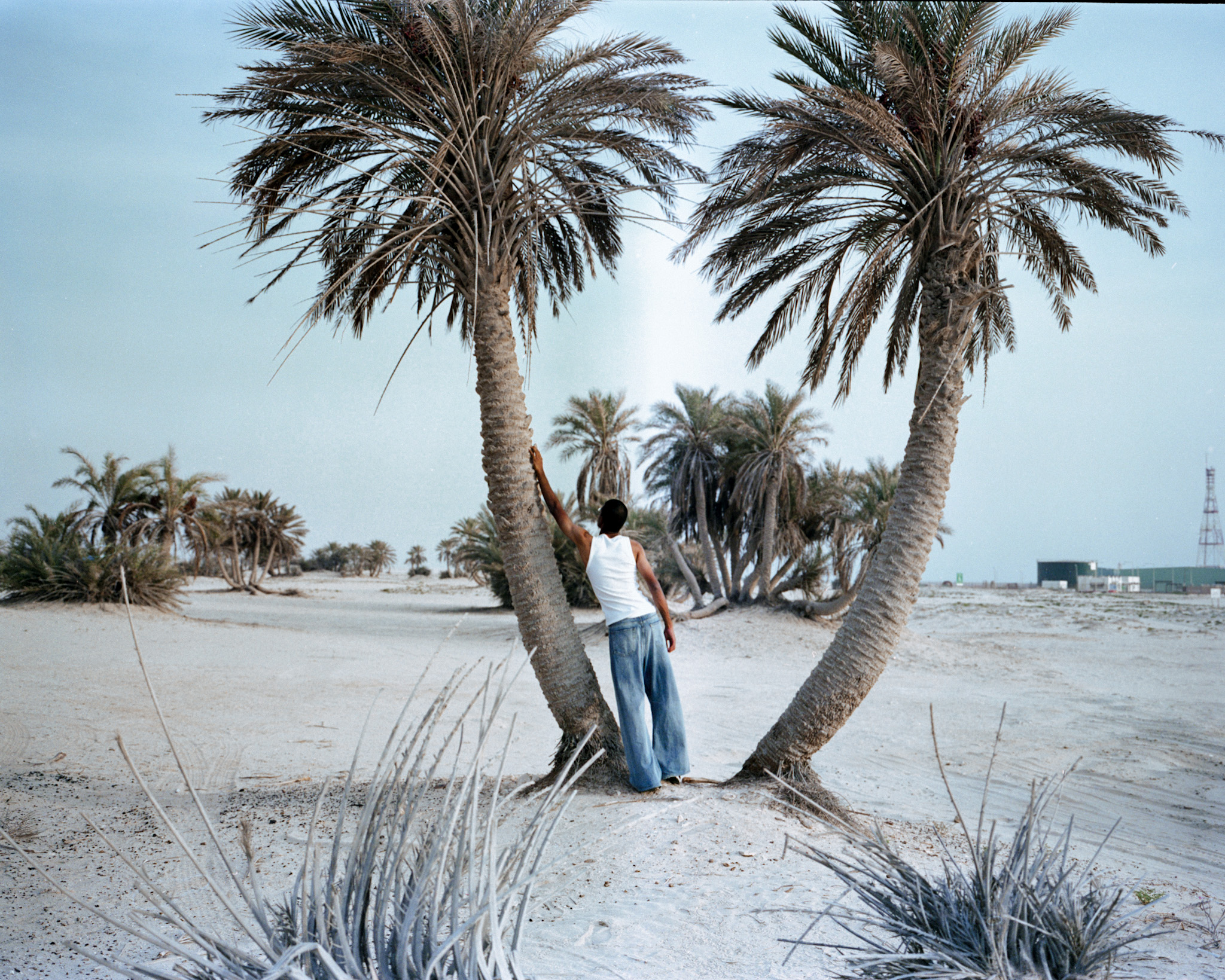 Boy With Palm Trees