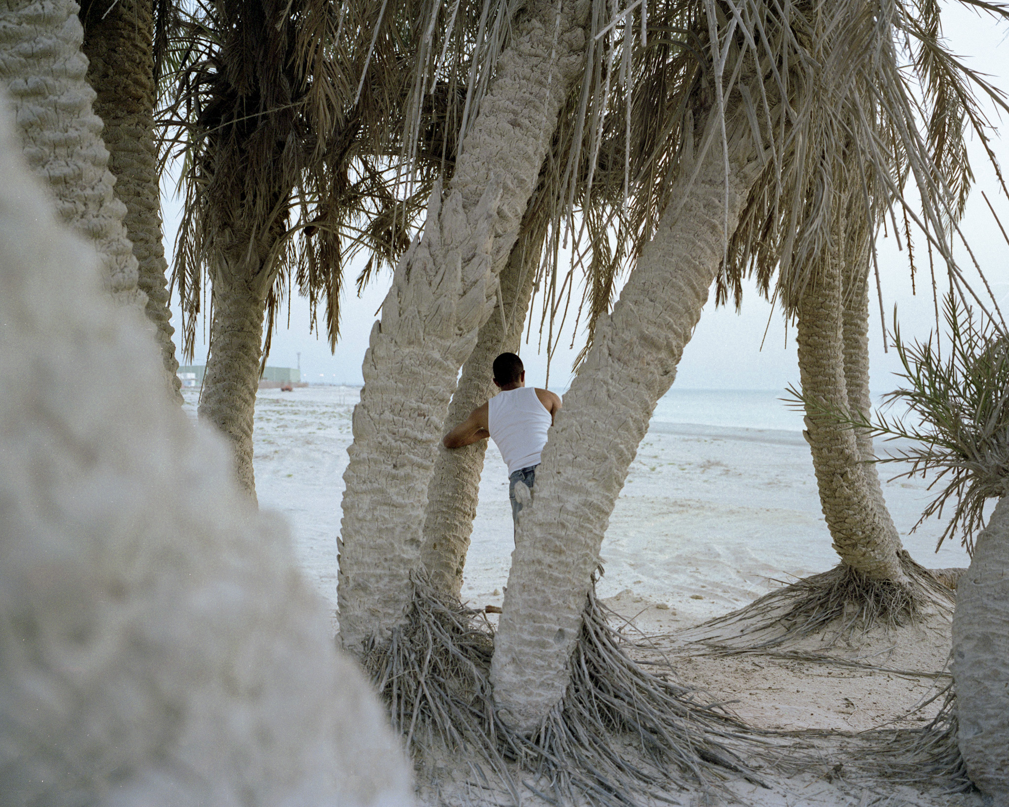 Boy With Palm Trees