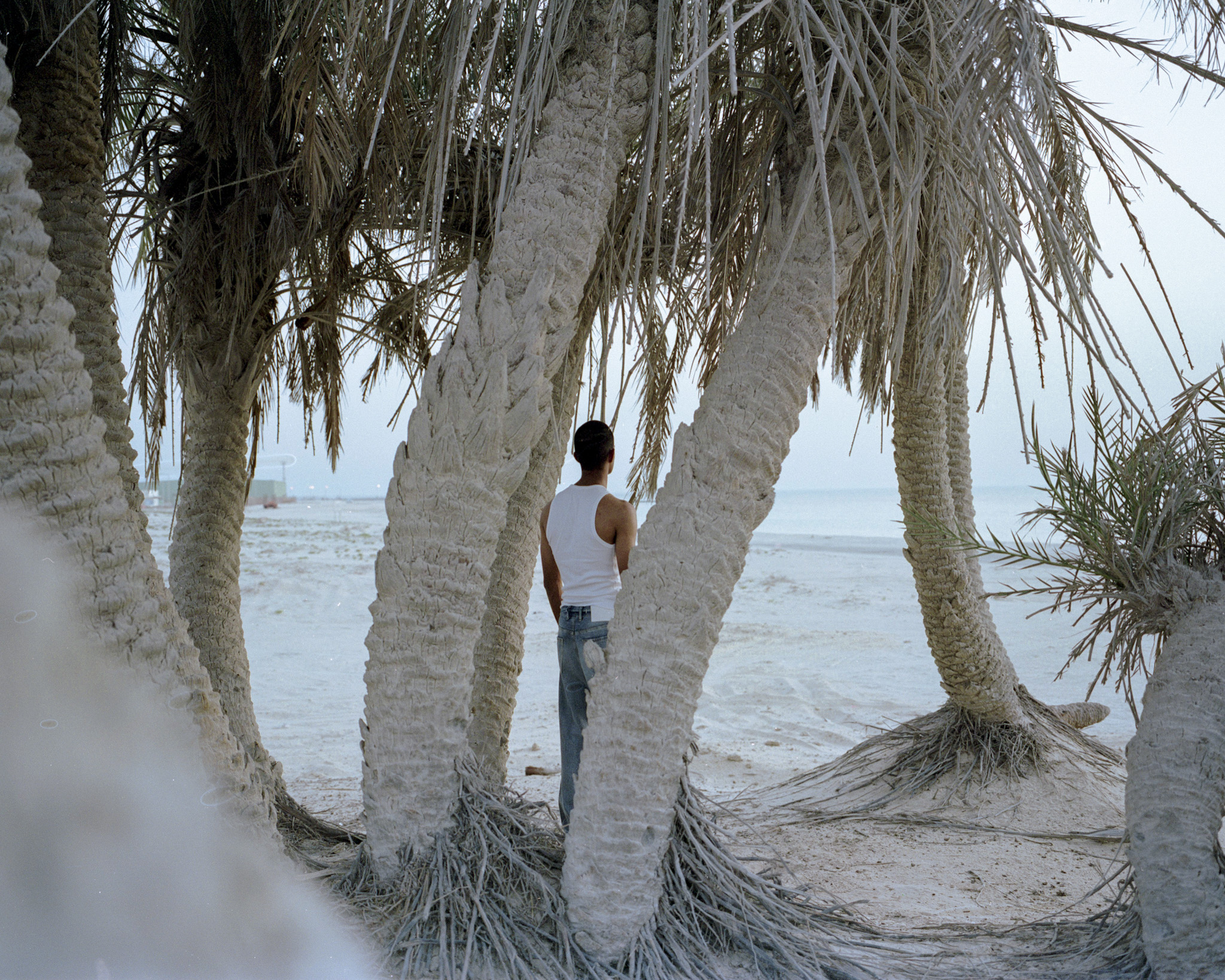 Boy With Palm Trees