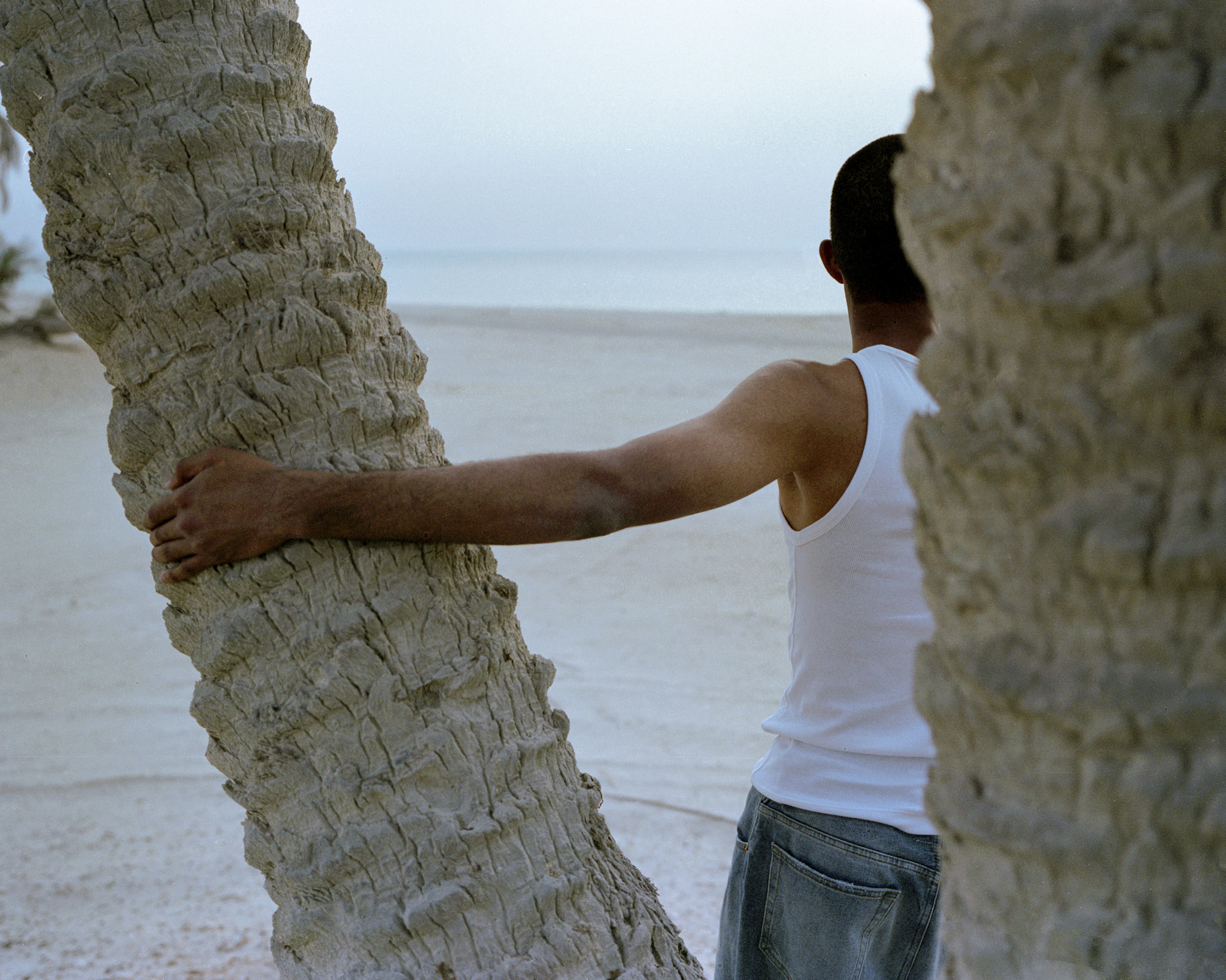 Boy With Palm Trees