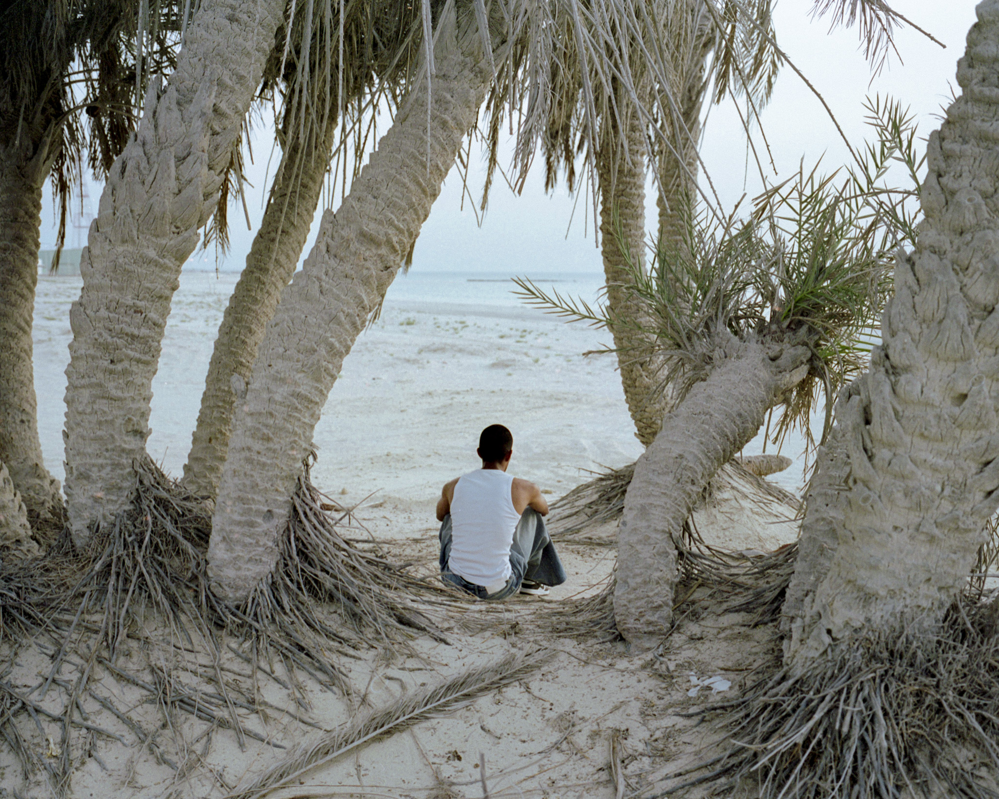 Boy With Palm Trees