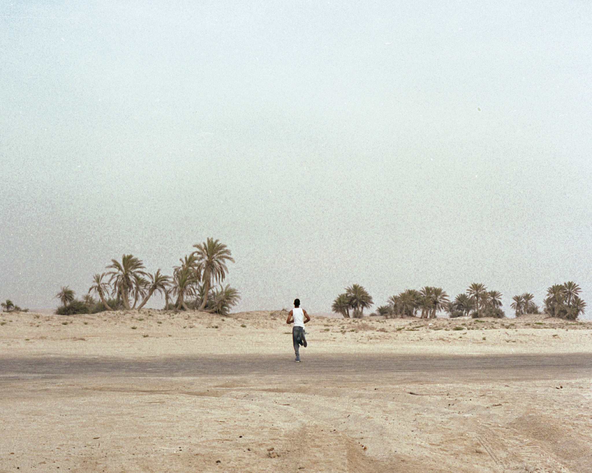 Boy With Palm Trees