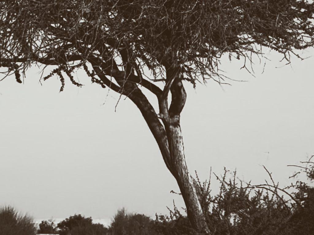 images from the other world